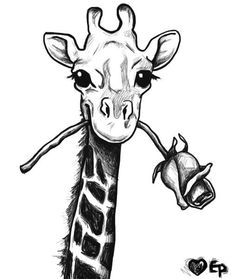 a black and white drawing of a giraffe with its tongue hanging out to the side