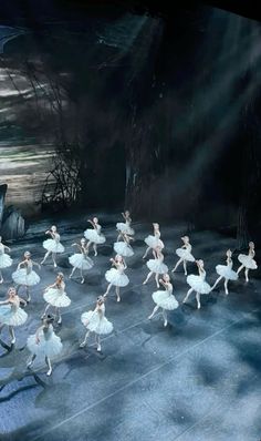 ballet dancers in white tutus and skirts on stage with their backs turned to the side