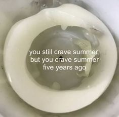 a toilet with the words you still crave summer, but you crave summer five years ago