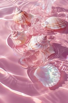 several seashells floating on top of the water in pink hued water with bubbles