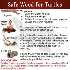 an info sheet describing the different types of wood for turtles and other marine animals