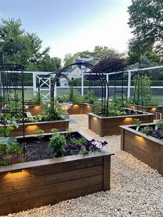 an outdoor garden with lots of plants and lights on the sides of each planter