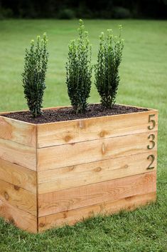 a wooden planter with three plants growing out of it's sides in the grass