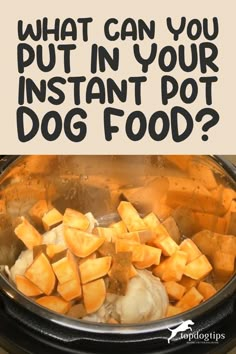 What Can You Put in Your Instant Pot Dog Food? Dogfood Homemade Instant Pot, Venison Dog Food Recipes, Homemade Dog Food Recipes Instant Pot, Insta Pot Dog Food Recipe, Instapot Dog Food Recipes Chicken, Instant Pot Dog Food Recipes Turkey, Instant Pot Dog Food Recipes With Chicken, Ground Beef Dog Food Recipes Crock Pot, Pressure Cooker Dog Food Recipes