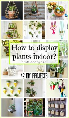 how to display plants indoors with 24 diy projects