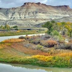 a river running through a lush green field next to a mountain covered in fall foliage