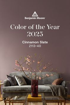 the color of the year 2055 cinnamon slate is displayed in front of a couch and coffee table