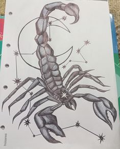 a drawing of a scorpion with stars on it's back and the zodiac sign