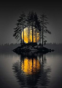 an island with trees on it in the middle of water and a full moon behind it