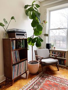 a plant in a pot next to a record player on a shelf and a chair