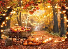 an autumn scene with pumpkins and lights on the ground in front of a wagon