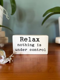 a sign that says relax nothing is under control on a table next to a potted plant