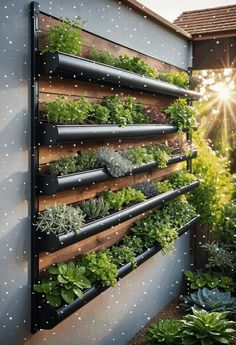 an outdoor garden with many plants growing on the side of it and sunlight shining through the window