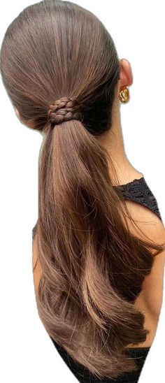 Mob Hair, Low Ponytails, Braided Ponytails, Hairstyle Ponytail, Hairstyle Braided, Sleek Braided Ponytail, Puff Ponytail, Sleek Ponytail Hairstyles, Hairstyles Ponytail