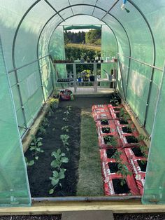 a small greenhouse filled with lots of plants and dirt in the ground next to green walls