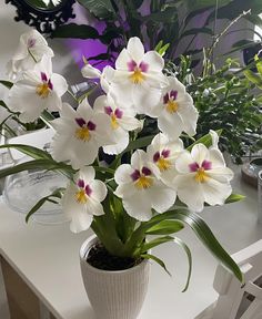 a white vase filled with flowers on top of a table