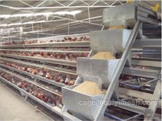 the inside of a building with chickens in cages