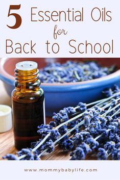 lavender flowers and essential oils on a table with text overlay that reads 5 essential oils for back to school