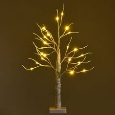 a lighted tree with no leaves on it