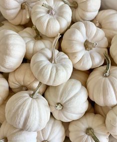 small white pumpkins piled on top of each other