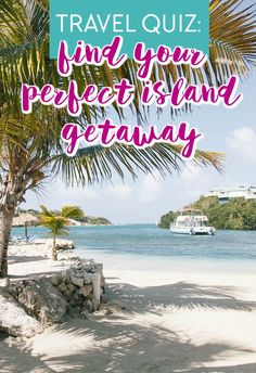 a palm tree with the words travel quiz find your perfect island getaway