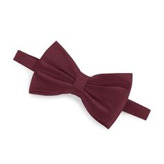 Satin Bow, Bow Tie, Satin