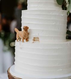 a wedding cake with a dog figurine on top