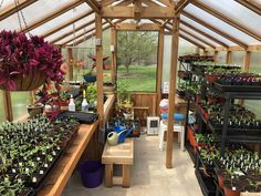 the inside of a greenhouse filled with lots of plants and potted plants on shelves