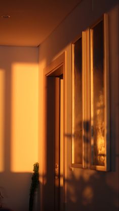 the sun is shining through some windows in an empty room with a potted plant