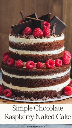 a triple layer chocolate raspberry naked cake