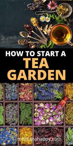 how to start a tea garden with pictures of flowers, herbs and other things in it