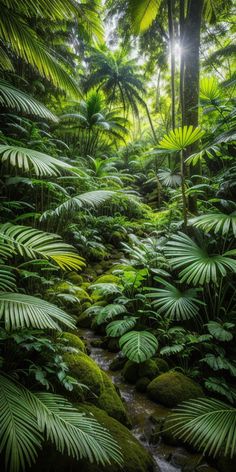 the sun shines through the trees and leaves in this tropical jungle scene with water flowing between them