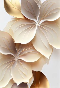 an image of some white flowers with gold leaves on the top and bottom part of it