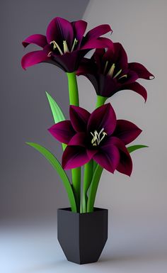 three purple flowers are in a black vase