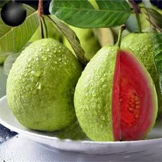 two guacamole on a plate with leaves