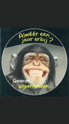 an image of a monkey with its mouth open and the caption is in german