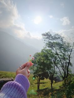 a person holding a flower in their hand with the sun shining behind them on a hill