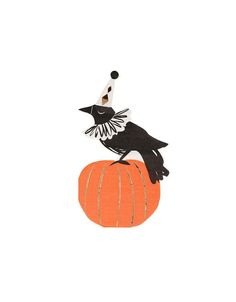 a black and white bird sitting on top of a pumpkin