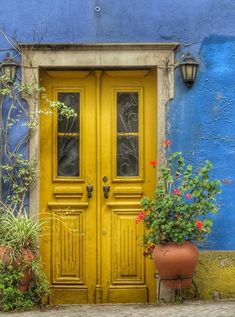 two potted plants sit in front of a yellow door