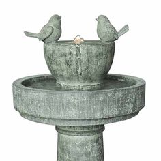 two birds are perched on the top of a birdbath with water in it