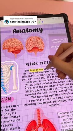 someone is using an ipad to learn anatomy