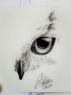 a drawing of an eagle's eye