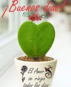 a green heart shaped plant sitting in a white pot on top of a window sill