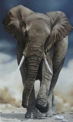 an elephant with tusks walking in front of a cloudy sky and some clouds