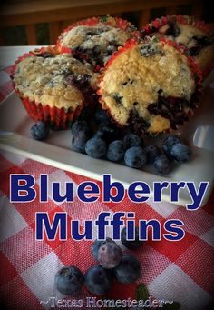 blueberry muffins on a plate with fresh blueberries