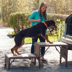 a woman standing next to a black and brown dog in front of a car with its trunk open