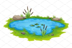 a small pond surrounded by rocks and grass