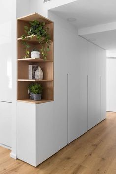 an empty room with white cupboards and plants on the shelves in front of them