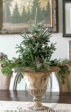 a potted plant sitting on top of a wooden table