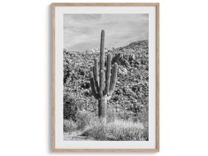 a black and white photo of a saguado cactus in front of a mountain